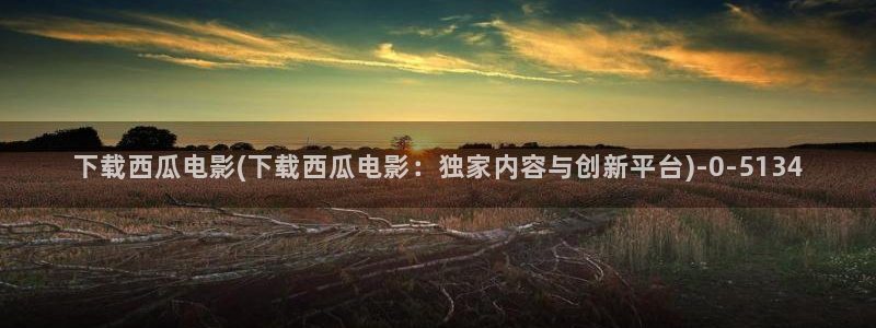 西瓜电影完整版免费看