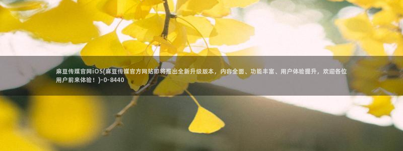 麻豆 高清专区：麻豆传媒官网iOS(麻豆传媒官方网站