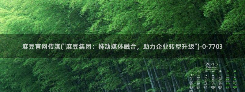 麻豆视频图集最新：麻豆官网传媒(\