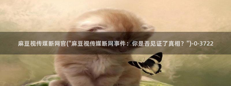 麻豆 精选导航：麻豆视传媒断网官(\