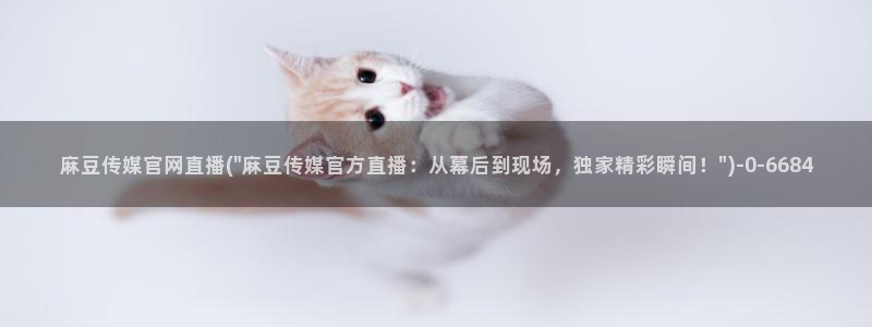 麻豆视频推荐专区：麻豆传媒官网直播(\