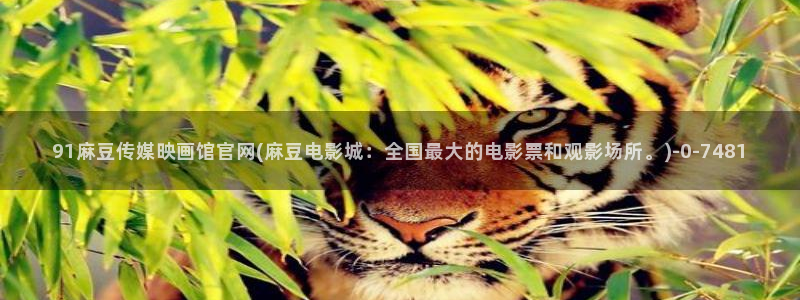 麻豆视频 短片更新：91麻豆传媒映画馆官网(麻豆电影