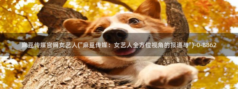 麻豆视频专区完整版：麻豆传媒官网女艺人(\