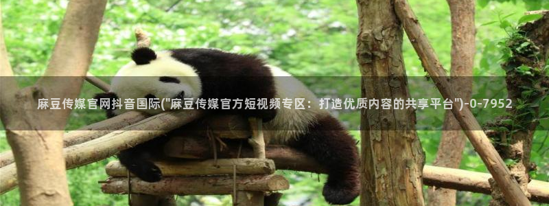 麻豆 在线看导航：麻豆传媒官网抖音国际(\
