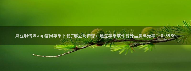 麻豆视频 下载资源