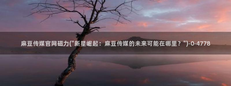 麻豆 更新专区