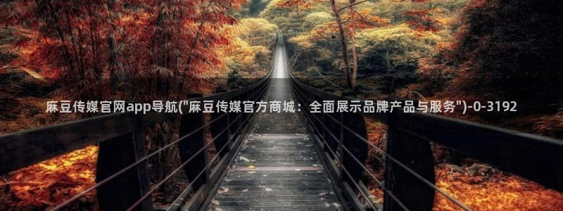 麻豆视频官方推荐：麻豆传媒官网app导航(\