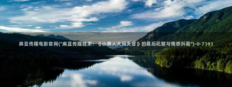 麻豆入口专区