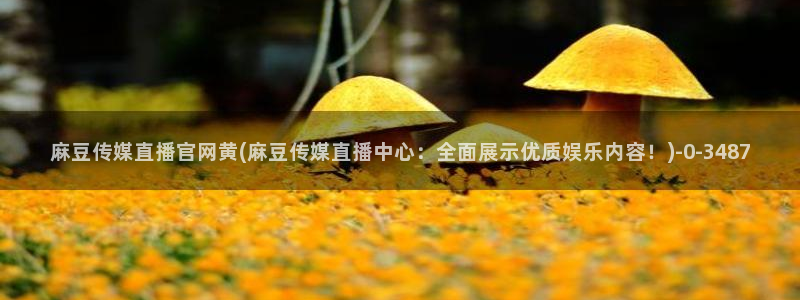 麻豆视频 内容专区