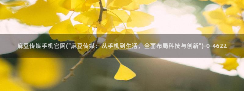 麻豆视频 短片更新