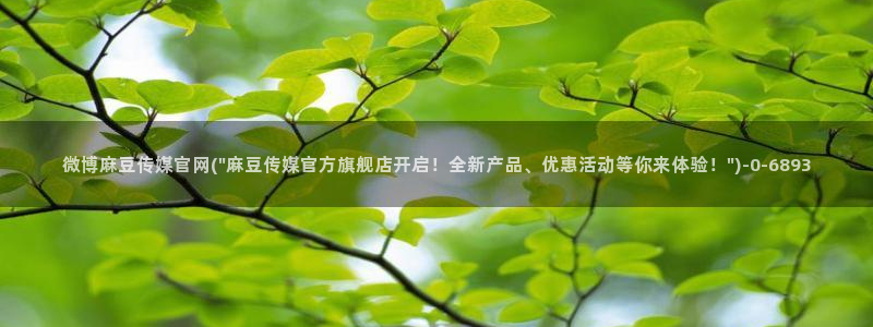 麻豆视频资源在线看：微博麻豆传媒官网(\