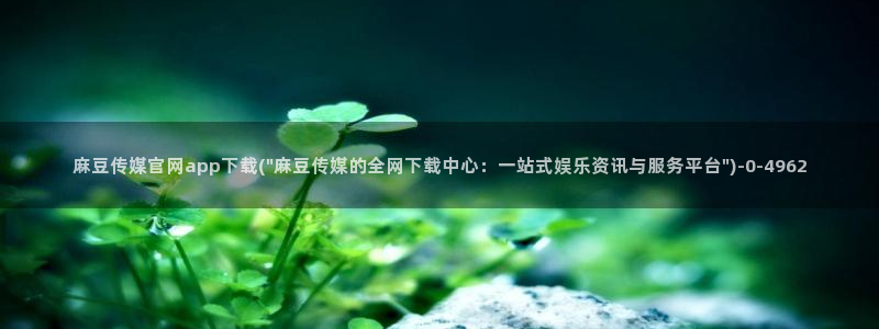 麻豆 精选导航