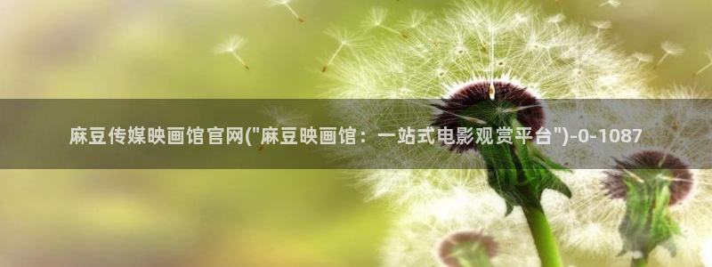 麻豆视频入口下载