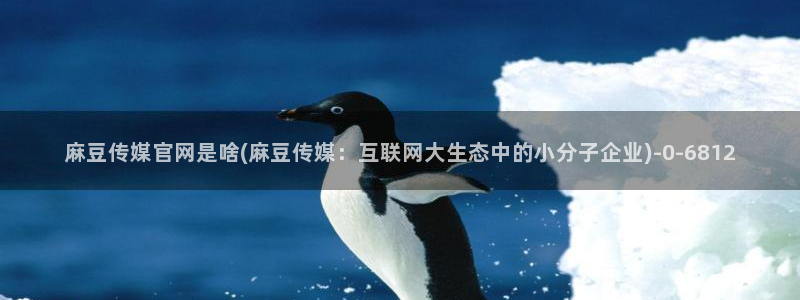 麻豆视频 资源完整版：麻豆传媒官网是啥(麻豆传媒：互联网