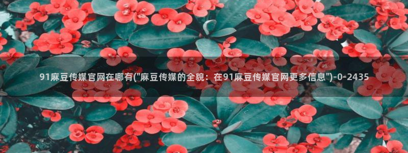 麻豆视频 完整版在线看
