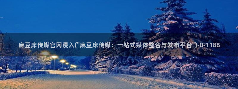 麻豆视频 专区在线看