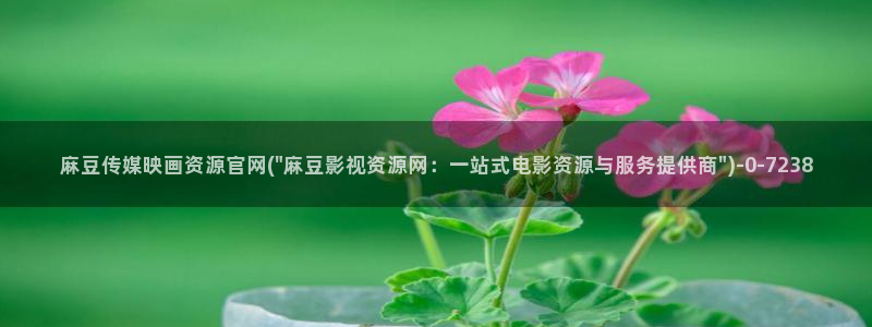 麻豆入口专区：麻豆传媒映画资源官网(\