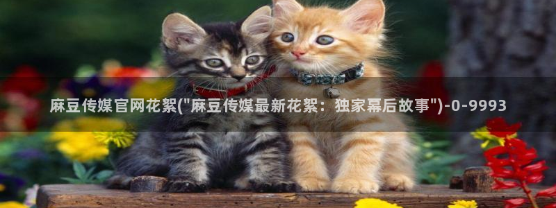 麻豆资源整理